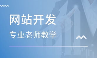 徐州食品城網站建設培訓 賦能商戶，開拓線上市場