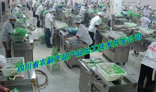 紅薯脯加工設備供應與技術創新解析 食品科技網助力產業升級